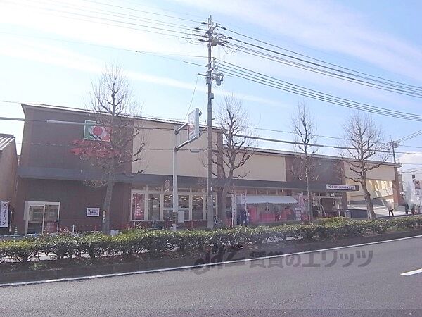 画像19:イズミヤ　千本北大路店まで470メートル