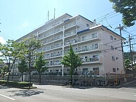 京都府京都市北区紫野西蓮台野町（賃貸マンション1LDK・3階・45.95㎡） その1