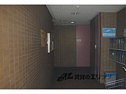 7 / 21