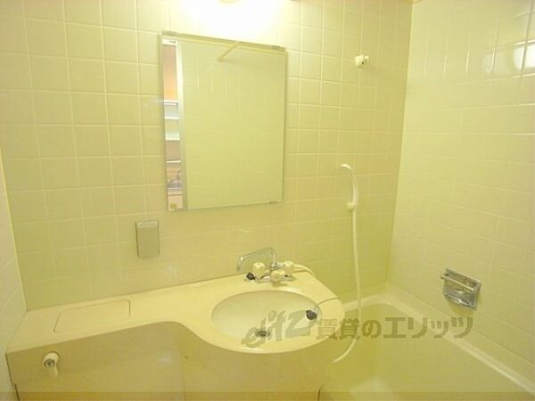 画像10:洗面所・シャワー、鏡