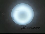 照明