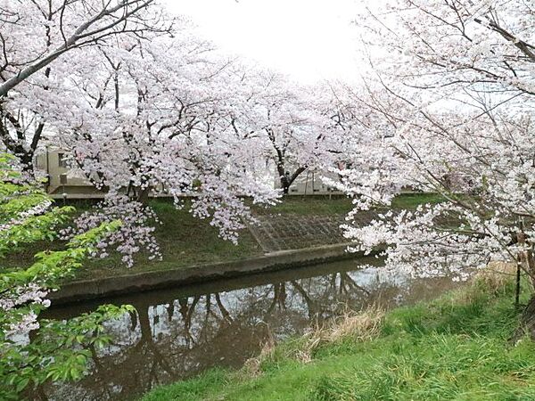 奈良県奈良市法蓮町(賃貸アパート3K・1階・35.00㎡)の写真 その30