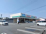 ウエルシアプラス(350m)