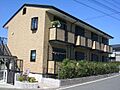 サマーパイン