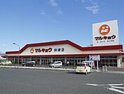 マルキョウ(450m)