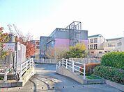 大島病院