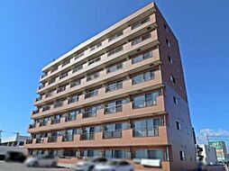 ベルホーク・YOHTO