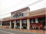 フードオアシスOTANI宇都宮駅東店 311m