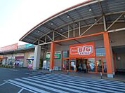 ザ・ビッグエクストラ真岡店 900m