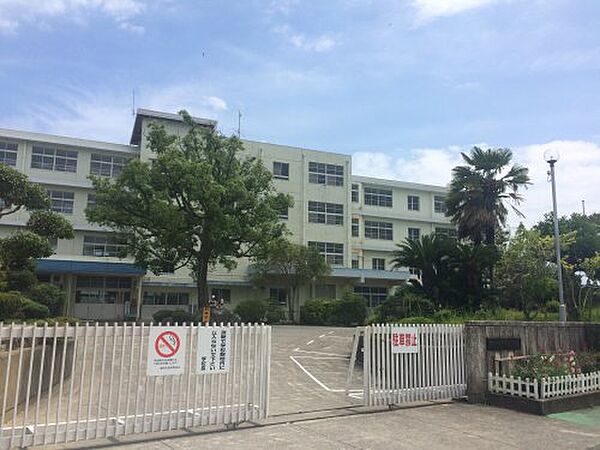 画像23:【小学校】静岡市立井宮北小学校まで315ｍ