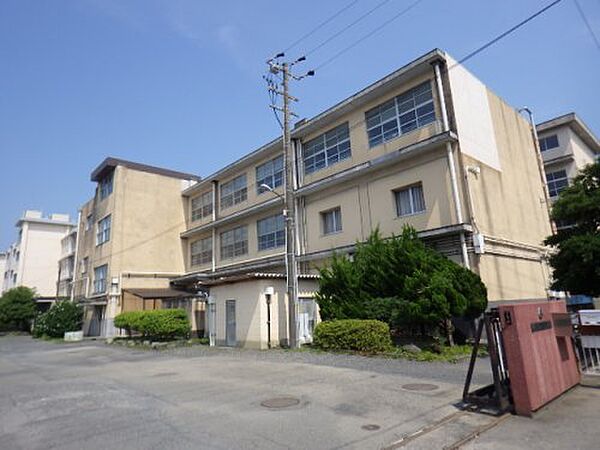 画像25:【小学校】静岡市立中島小学校まで801ｍ