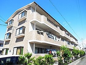 静岡県静岡市駿河区中田本町（賃貸マンション2LDK・1階・55.44㎡） その1