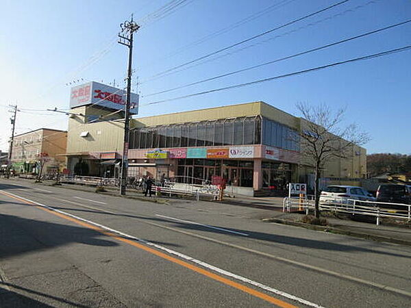 画像22:ショッピングセンター「大阪屋ショップまで700ｍ」
