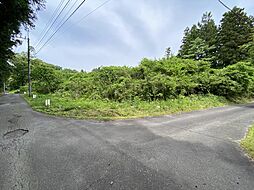 日光線 下野大沢駅 徒歩78分