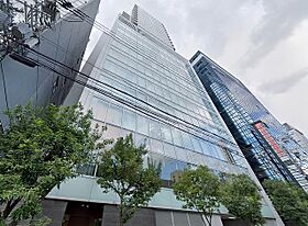 アステリオ北堀江 ザ・メトロタワー  ｜ 大阪府大阪市西区北堀江１丁目（賃貸マンション1LDK・17階・50.23㎡） その1