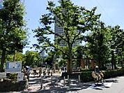 公園 250m