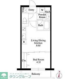 NEOグレイス綾瀬 1LDKの間取図画像