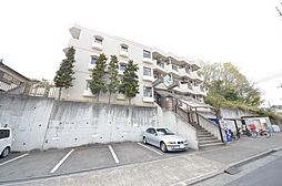 ホワイトウイング左入