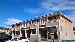 マンダリン　ダック