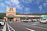 周辺：ハローズ砥堀店　約890ｍ（徒歩12分）