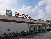 ヨークマート藤原店 689m
