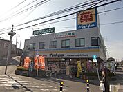 マツモトキヨシ 520m