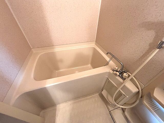 その他 サニークレスト真鶴アネックス 5階/-