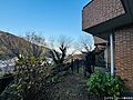 目の前には2本...