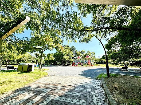 周辺を拡大表示