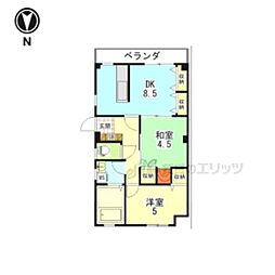 ルミナス・カスティエル 1階2DKの間取り