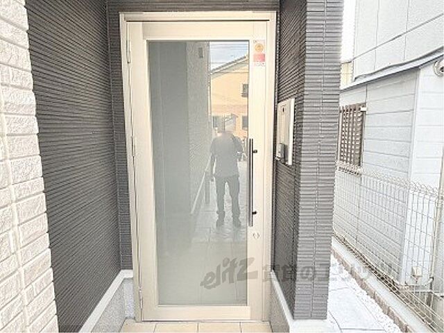 17 / 31