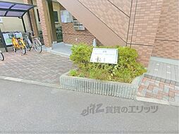 6 / 9