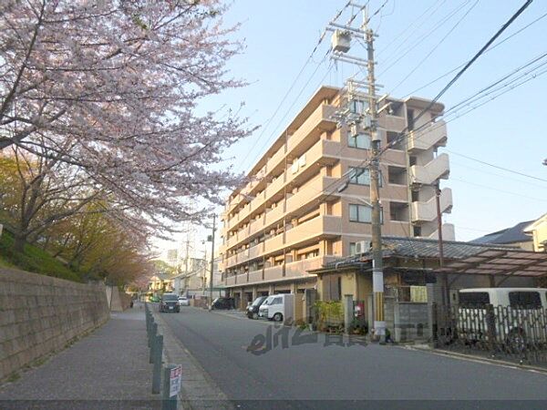 グランディ72 603｜京都府京都市右京区西京極徳大寺団子田町(賃貸マンション2LDK・6階・52.48㎡)の写真 その12