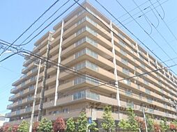 パデシオン西大路 1009