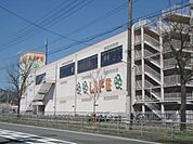 ライフ　太秦店まで740メートル