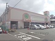 ライフ　西京極店まで230メートル
