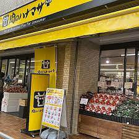 画像17:【スーパー】肉のハナマサ 動坂店まで389ｍ