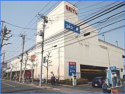 ビーカーサ綾瀬