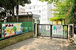 【幼稚園】柳島幼稚園まで945ｍ