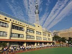 【小学校】横川小学校まで533ｍ