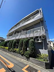 エバーグリーン