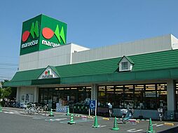【スーパー】マルエツ東上野店まで605ｍ
