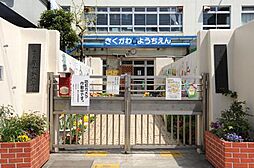 【幼稚園】菊川幼稚園まで626ｍ