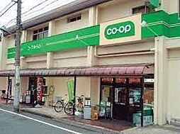 【スーパー】コープみらい ミニコープ滝野川店まで574ｍ
