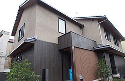 森田屋石亭　椿