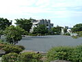 【公園】竹山烏...