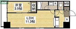 JR山陽本線 岡山駅 徒歩16分 14階/-