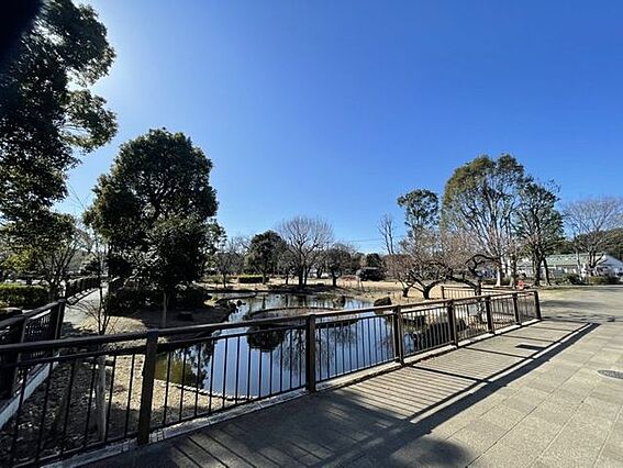 郷土の森公園 ...
