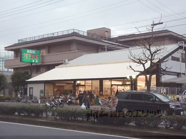 ウッドリーム木香館 202｜京都府京都市西京区桂西滝川町(賃貸マンション1K・2階・21.31㎡)の写真 その21