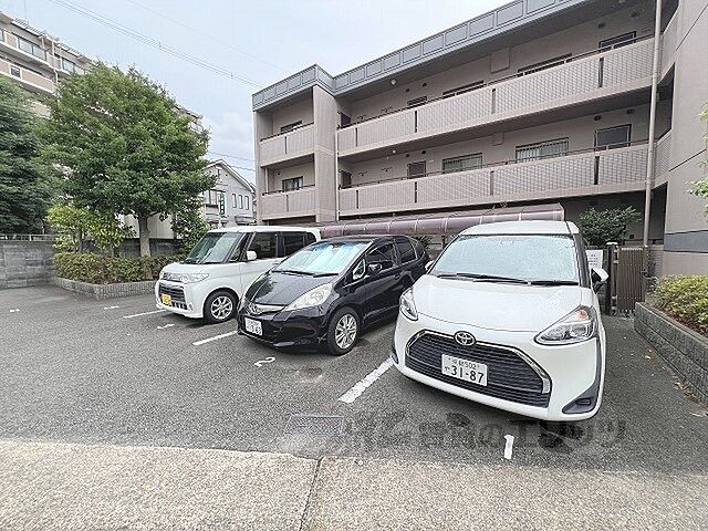 6 / 9